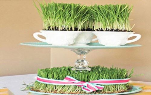 مدل، ایده و تزئین های سبزه