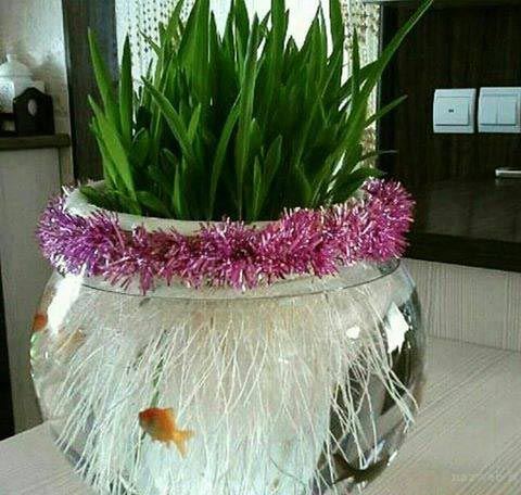 مدل، ایده و تزئین های سبزه