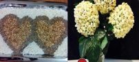 بهترین خوراکی ها برای جایگزین کردن آجیل!