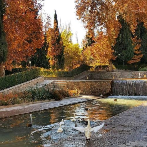 باغ شاهزاده ماهان عجیب ترین زمرد در دل کویر کرمان! تصاویر بی نظیر