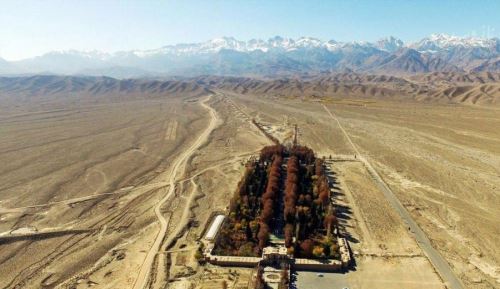باغ شاهزاده ماهان عجیب ترین زمرد در دل کویر کرمان! تصاویر بی نظیر