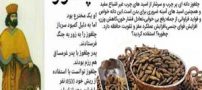 چلغوز چیست و چه خواصی دارد؟!
