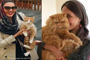 عکس های داغ خانم های بازیگر گربه باز ایرانی