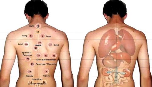 تمامی بایدها و نبایدهای حجامت