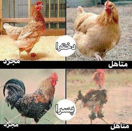 عکس های خفن خنده دار سری جدید 98 با مطالب طنز