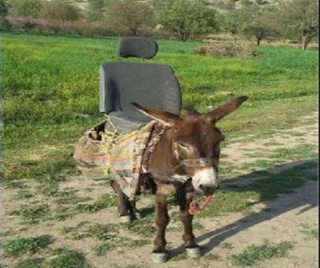 عکس های خفن خنده دار سری جدید 98 با مطالب طنز