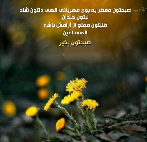 سری جدید عکس نوشته های صبح بخیر عشقم، عزیزم