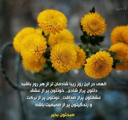 سری جدید عکس نوشته های صبح بخیر عشقم، عزیزم