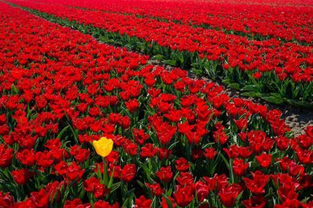 عکس های دیدنی از مرگ مدلینگ روی صحنه تا زنان زیبای کره