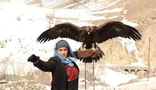 بیوگرافی جدید الهام چرخنده و سومین همسرش+ تصاویر و حواشی جنجالی