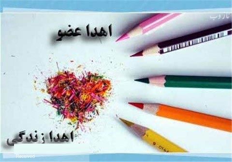31 اردیبهشت روز ملی اهدای عضو+ راهنمای اهدای عضو