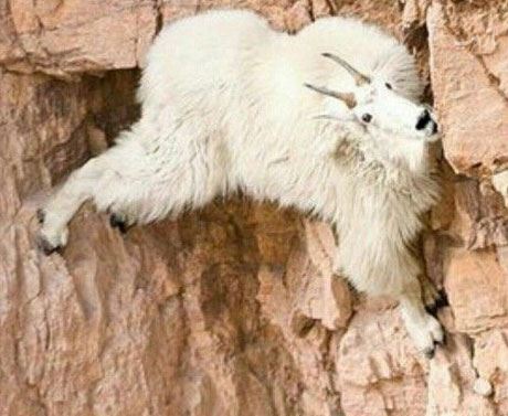 جدیدترین سری عکس های خنده دار و نوستالژی