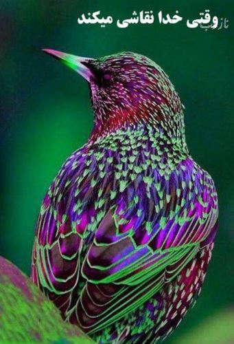 جدیدترین سری عکس های خنده دار و نوستالژی