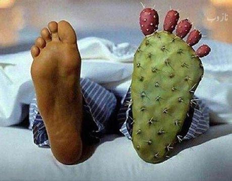 جدیدترین سری عکس های خنده دار و نوستالژی