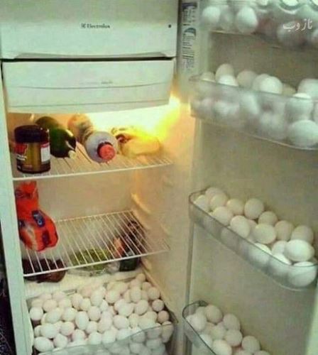 جدیدترین سری عکس های خنده دار و نوستالژی