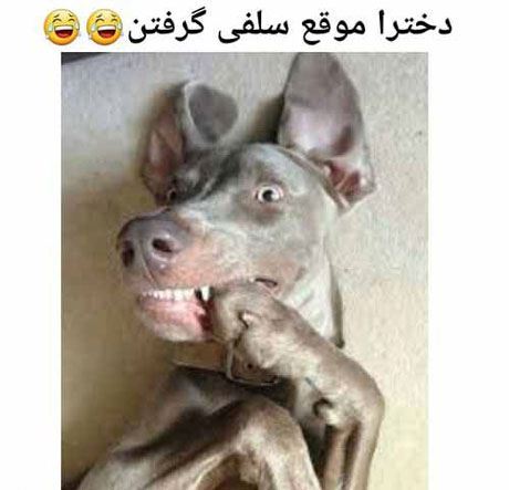 جدیدترین سری عکس های خنده دار و نوستالژی