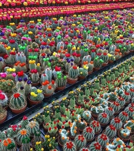 جدیدترین سری عکس های خنده دار و نوستالژی
