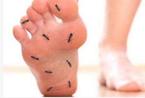 مغز دوم و قلب دوم بدن کدام است؟ دانستنی های بدن