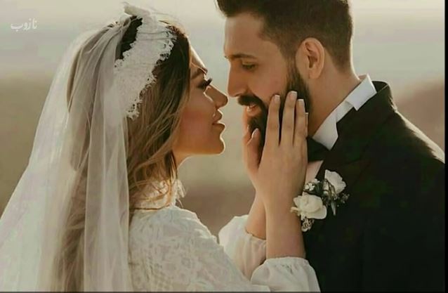 کلیپ اصلی عامل دستگیری جنجالی محسن افشانی و همسرش سویل