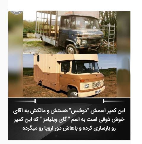 دانستنی های عجیب، جنسی، علمی، پزشکی و جالب