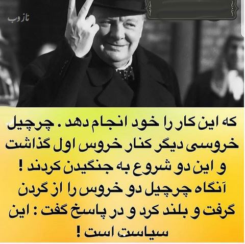 دانستنی های عجیب، جنسی، علمی، پزشکی و جالب