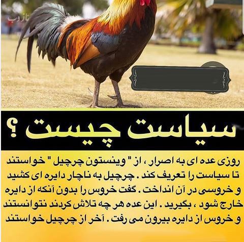 دانستنی های عجیب، جنسی، علمی، پزشکی و جالب