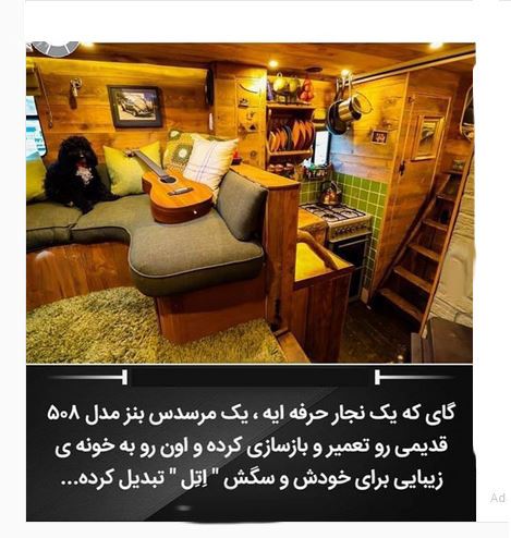 دانستنی های عجیب، جنسی، علمی، پزشکی و جالب