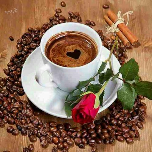 فال هفتگی، عشق، تاروت و گوی بلورین هفته دوم تیر