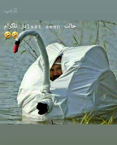 خانم بازیگران بی دندون! مجموعه عکس های طنز و خنده دار