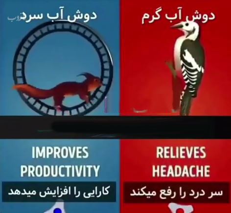 فواید بی نظیر دوش آب سرد+ تفاوت های جالب دوش گرم و سرد
