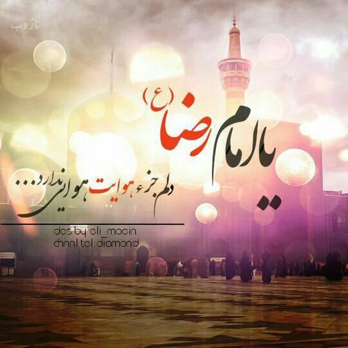 عکس نوشته های میلاد امام رضا ویژه پروفایل/ ضامن آهو