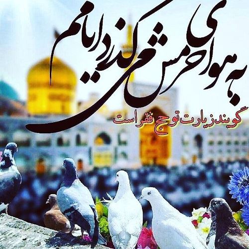 عکس نوشته های میلاد امام رضا ویژه پروفایل/ ضامن آهو
