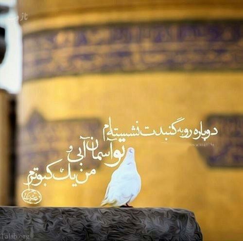 عکس نوشته های میلاد امام رضا ویژه پروفایل/ ضامن آهو
