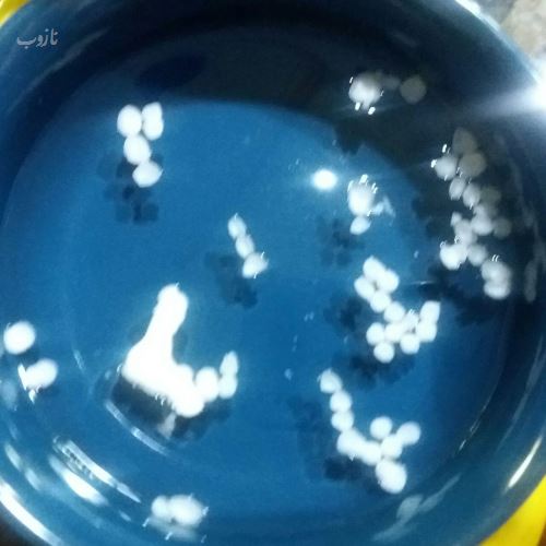 فال هفتگی اوراکل، تاروت، شمع و احساسی هفته اول مرداد