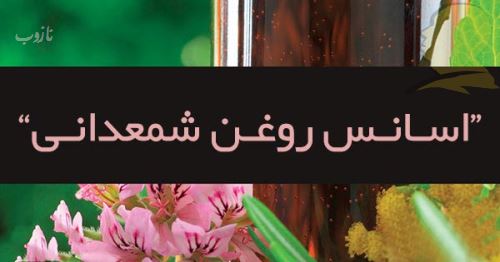 شپش چیست/ درمانهای دارویی و خانگی شپش +علائم آن