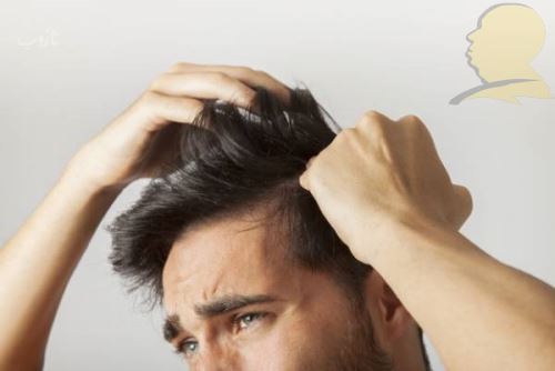 شپش چیست/ درمانهای دارویی و خانگی شپش +علائم آن