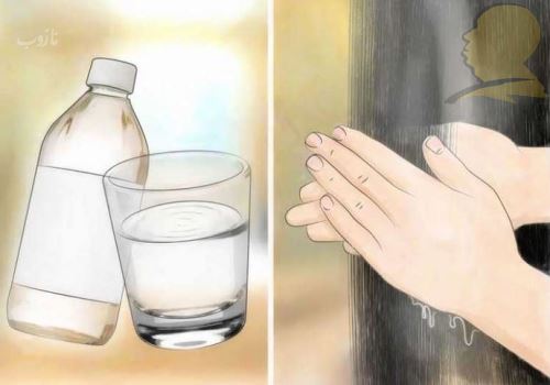 شپش چیست/ درمانهای دارویی و خانگی شپش +علائم آن
