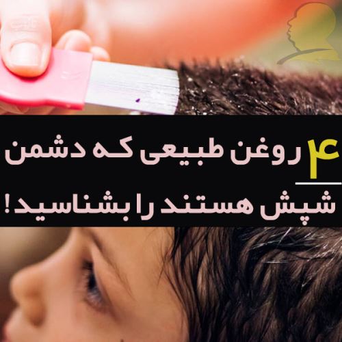 شپش چیست/ درمانهای دارویی و خانگی شپش +علائم آن