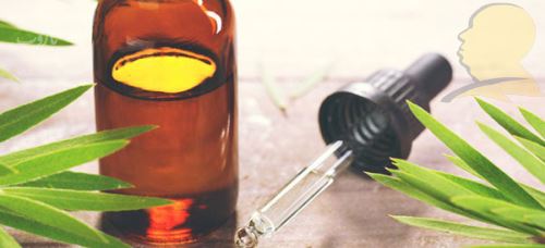 شپش چیست/ درمانهای دارویی و خانگی شپش +علائم آن