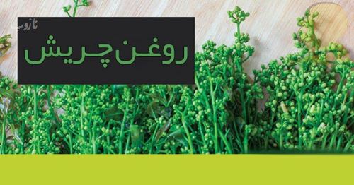 شپش چیست/ درمانهای دارویی و خانگی شپش +علائم آن