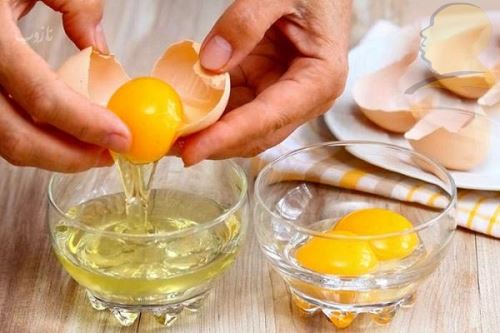 شپش چیست/ درمانهای دارویی و خانگی شپش +علائم آن