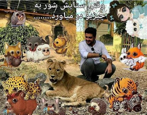 بیوگرافی جدید سهند جاهدی و همسرش+ عاشقانه های اینستاگرام