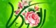 عکس نوشته، تصاویر متحرک و پیام تبریک میلاد امام علی النقی