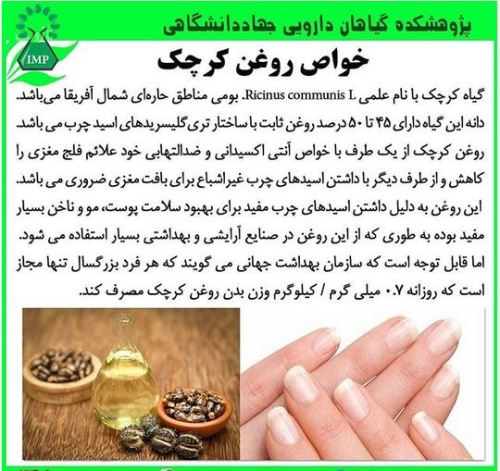 عالی ترین پرایمر طبیعی آرایشی و خانگی/ پرایمر چیست