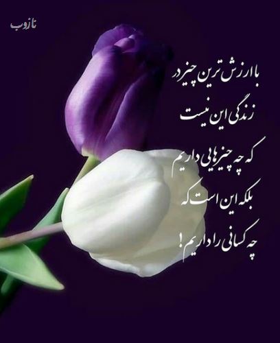 زیباترین گالری عکس نوشته های خاص و گوناگون ویژه پروفایل 1