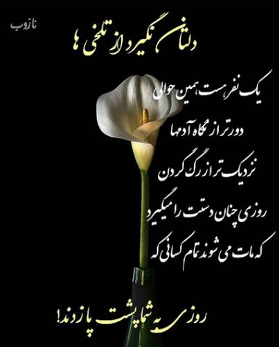 زیباترین گالری عکس نوشته های خاص و گوناگون ویژه پروفایل 1