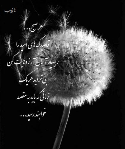 زیباترین گالری عکس نوشته های خاص و گوناگون ویژه پروفایل 1