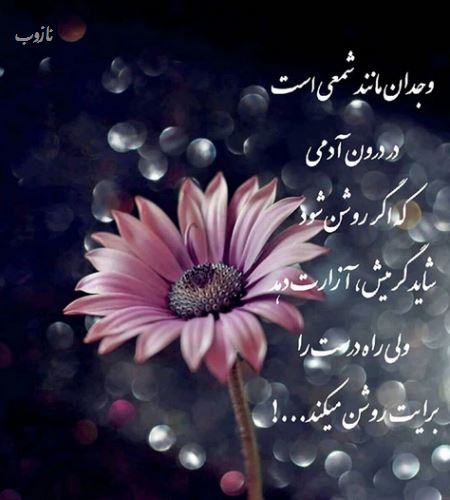 زیباترین گالری عکس نوشته های خاص و گوناگون ویژه پروفایل 1