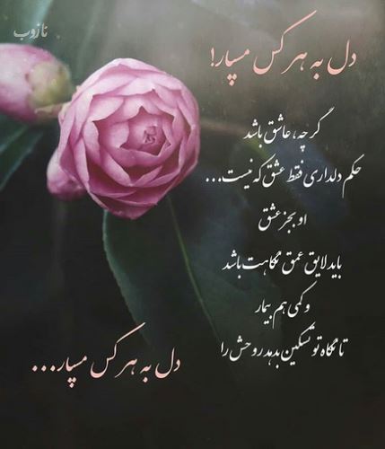 زیباترین گالری عکس نوشته های خاص و گوناگون ویژه پروفایل 1
