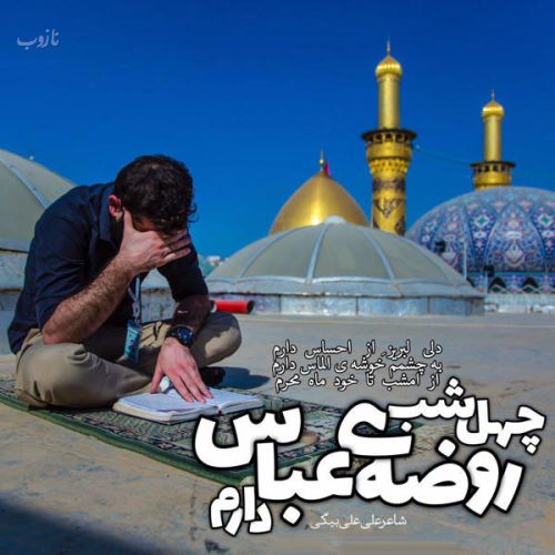 آرشیو عکس نوشته های تاسوعا عاشورا با اشعار زیبا